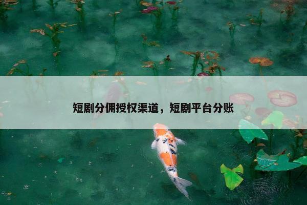 短剧分佣授权渠道，短剧平台分账