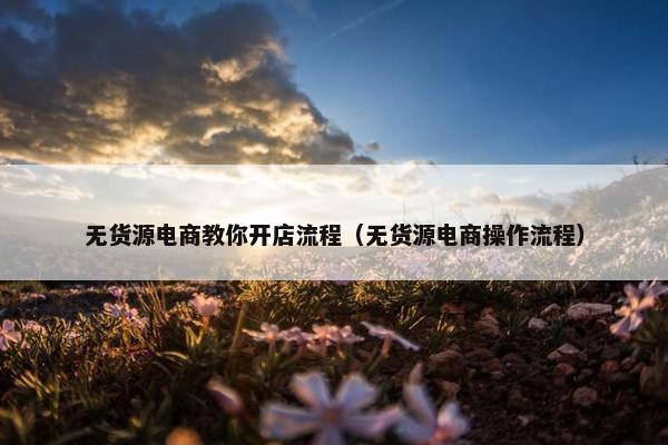 无货源电商教你开店流程（无货源电商操作流程）