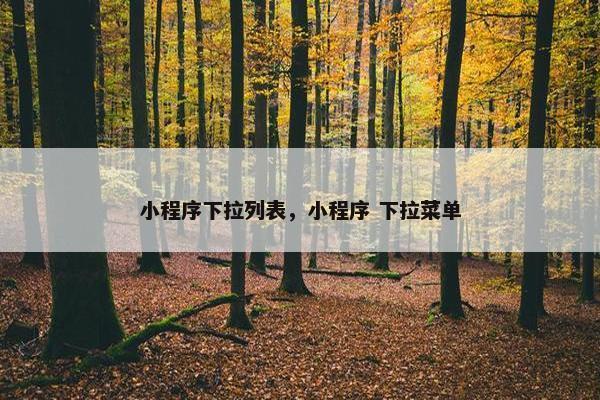 小程序下拉列表，小程序 下拉菜单
