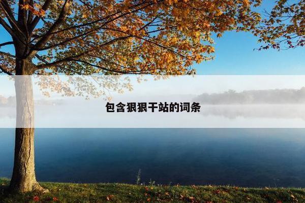 包含狠狠干站的词条