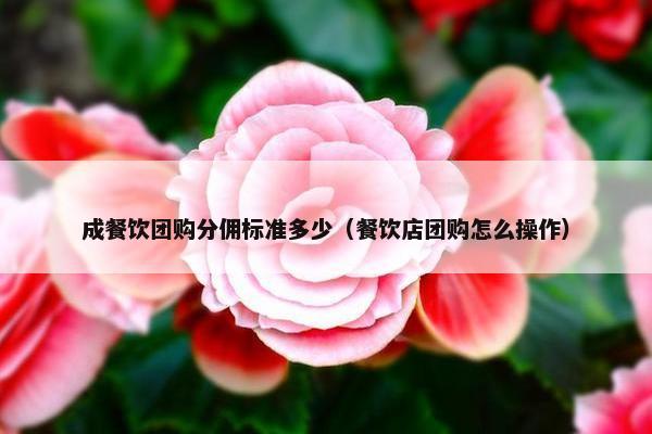 成餐饮团购分佣标准多少（餐饮店团购怎么操作）