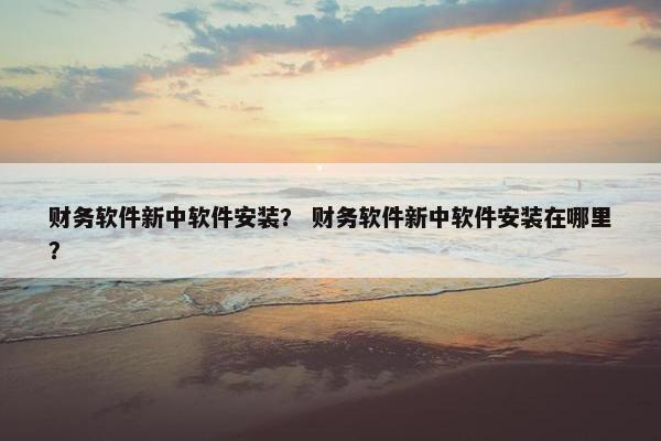 财务软件新中软件安装？ 财务软件新中软件安装在哪里？