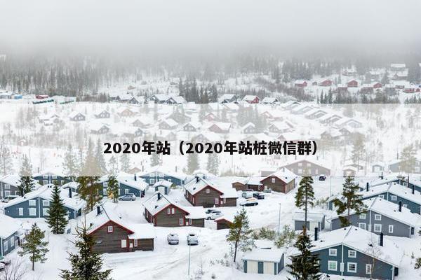 2020年站（2020年站桩微信群）