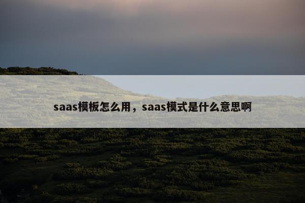 saas模板怎么用，saas模式是什么意思啊