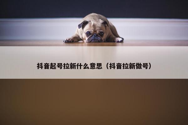 抖音起号拉新什么意思（抖音拉新做号）