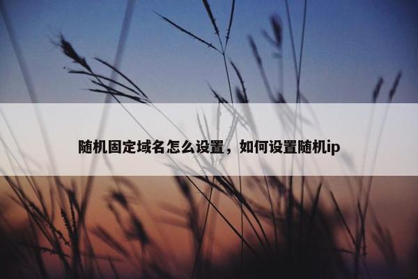 随机固定域名怎么设置，如何设置随机ip