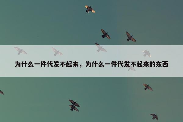 为什么一件代发不起来，为什么一件代发不起来的东西