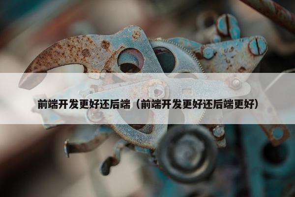 前端开发更好还后端（前端开发更好还后端更好）