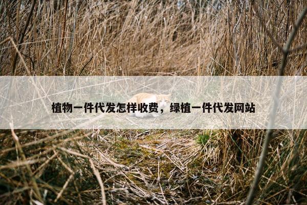 植物一件代发怎样收费，绿植一件代发网站