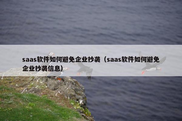 saas软件如何避免企业抄袭（saas软件如何避免企业抄袭信息）