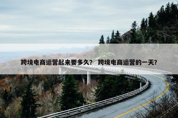 跨境电商运营起来要多久？ 跨境电商运营的一天？