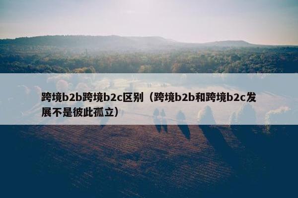 跨境b2b跨境b2c区别（跨境b2b和跨境b2c发展不是彼此孤立）