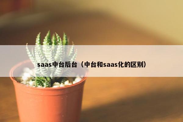 saas中台后台（中台和saas化的区别）