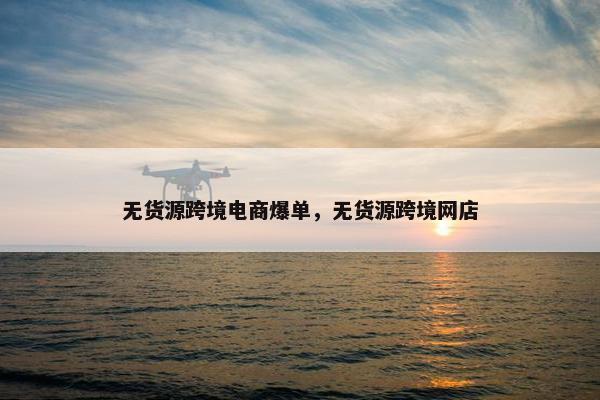 无货源跨境电商爆单，无货源跨境网店