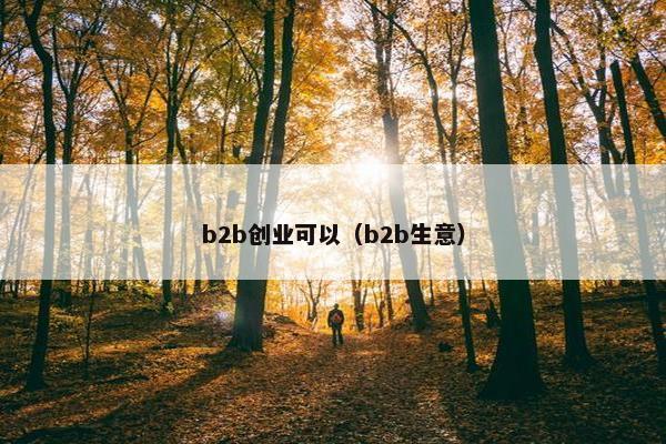 b2b创业可以（b2b生意）