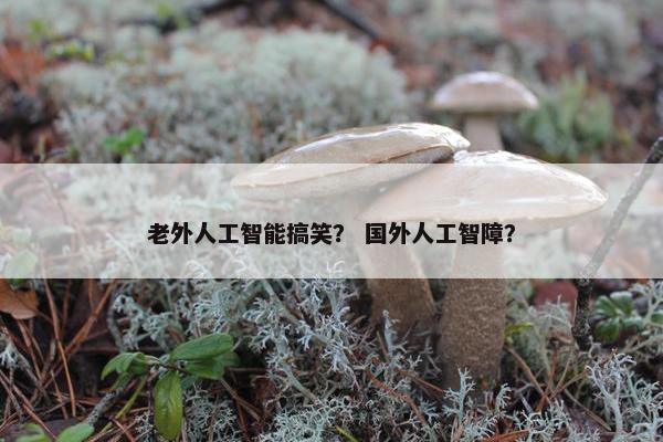老外人工智能搞笑？ 国外人工智障？