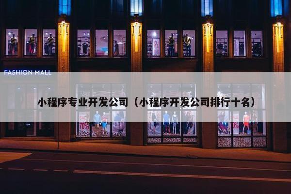 小程序专业开发公司（小程序开发公司排行十名）