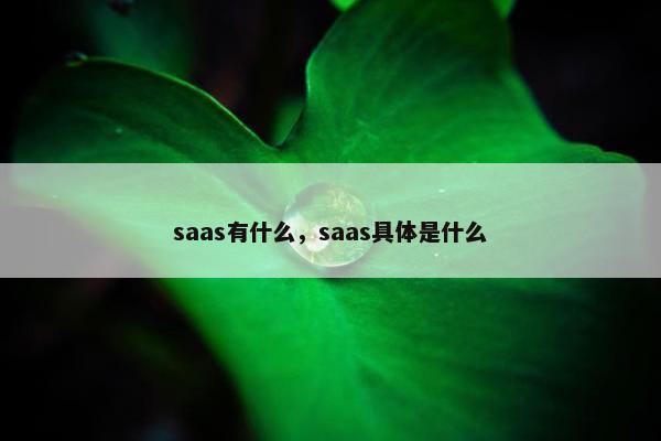 saas有什么，saas具体是什么