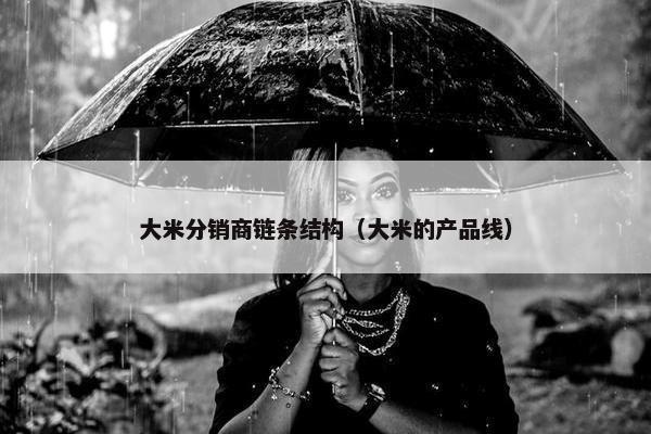 大米分销商链条结构（大米的产品线）