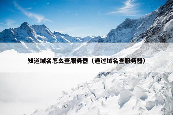 知道域名怎么查服务器（通过域名查服务器）