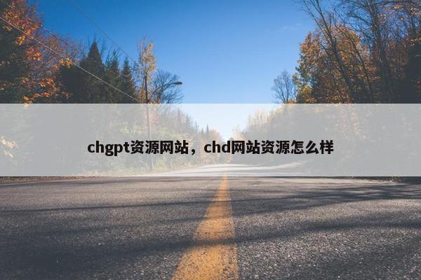 chgpt资源网站，chd网站资源怎么样