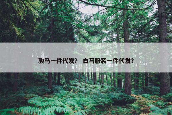 骏马一件代发？ 白马服装一件代发？