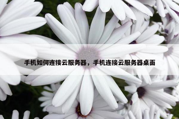 手机如何连接云服务器，手机连接云服务器桌面