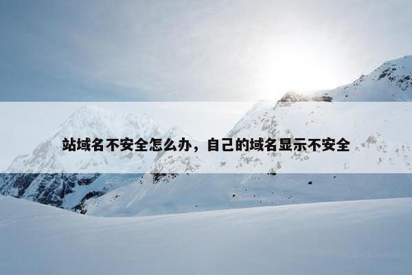 站域名不安全怎么办，自己的域名显示不安全