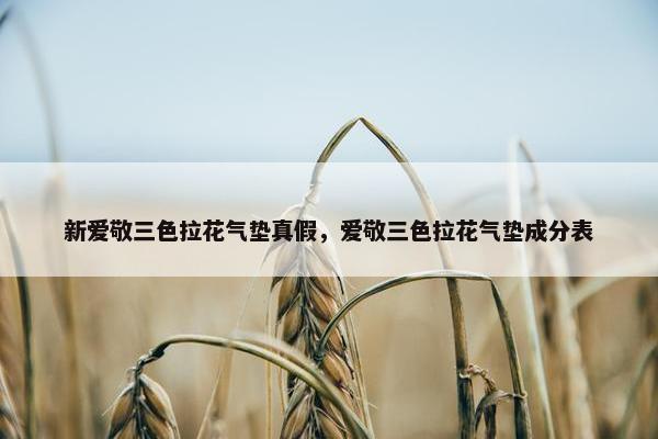 新爱敬三色拉花气垫真假，爱敬三色拉花气垫成分表