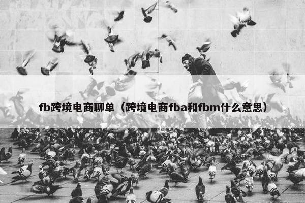 fb跨境电商聊单（跨境电商fba和fbm什么意思）