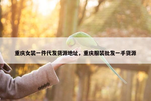 重庆女装一件代发货源地址，重庆服装批发一手货源
