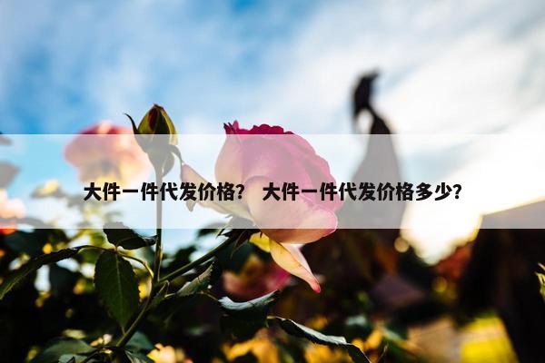 大件一件代发价格？ 大件一件代发价格多少？