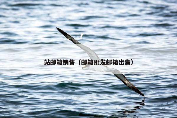 站邮箱销售（邮箱批发邮箱出售）