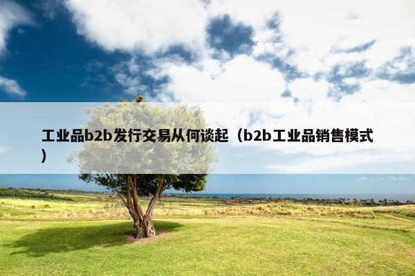 工业品b2b发行交易从何谈起（b2b工业品销售模式）
