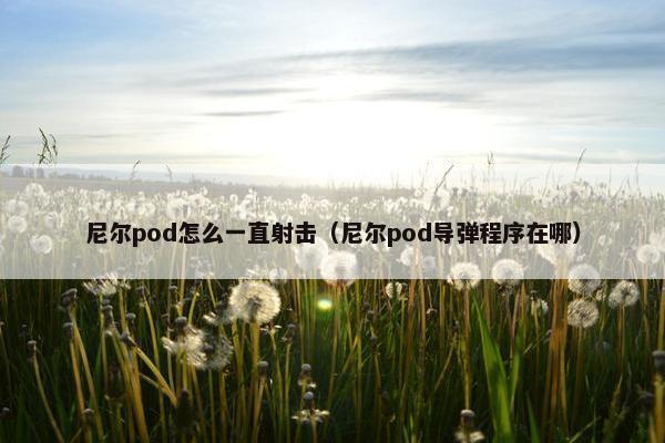 尼尔pod怎么一直射击（尼尔pod导弹程序在哪）