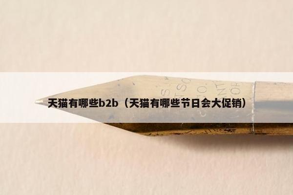 天猫有哪些b2b（天猫有哪些节日会大促销）