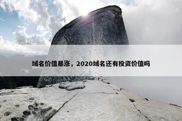 域名价值暴涨，2020域名还有投资价值吗