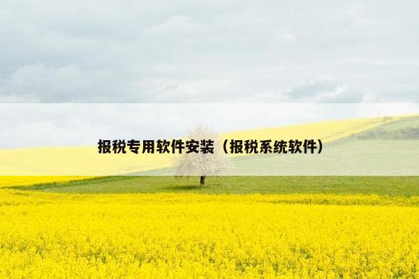 报税专用软件安装（报税系统软件）