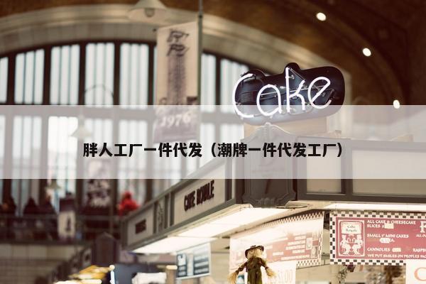 胖人工厂一件代发（潮牌一件代发工厂）