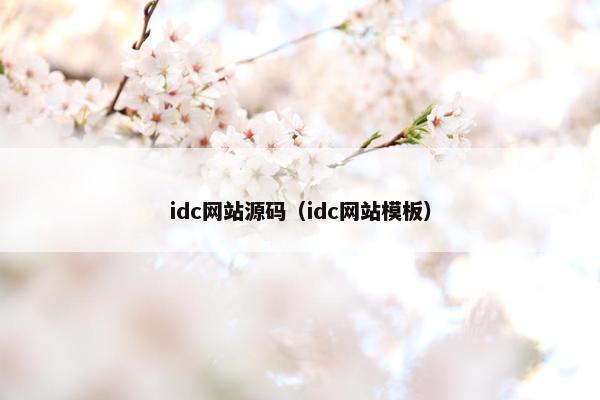 idc网站源码（idc网站模板）