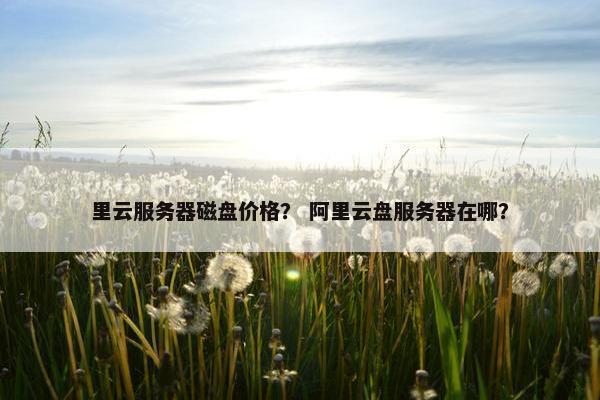 里云服务器磁盘价格？ 阿里云盘服务器在哪？
