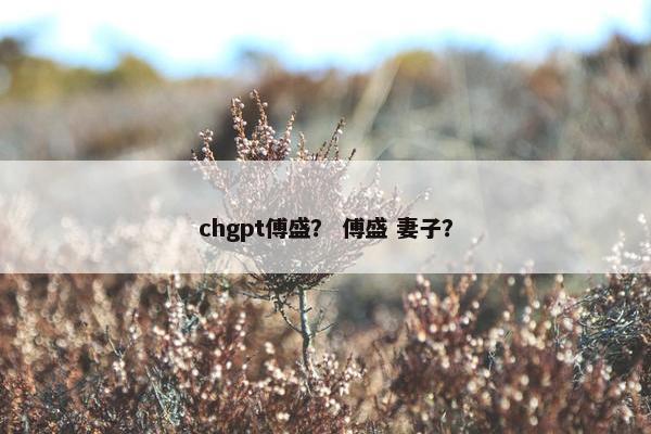 chgpt傅盛？ 傅盛 妻子？