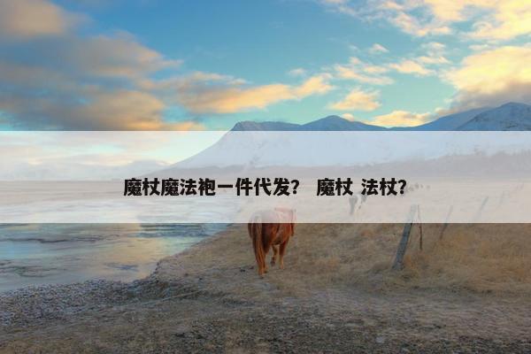 魔杖魔法袍一件代发？ 魔杖 法杖？