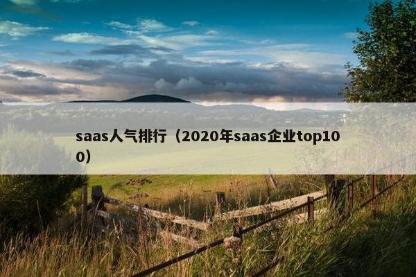 saas人气排行（2020年saas企业top100）