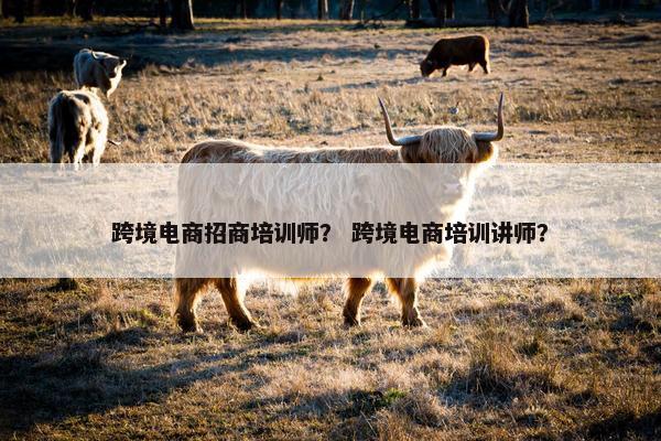 跨境电商招商培训师？ 跨境电商培训讲师？