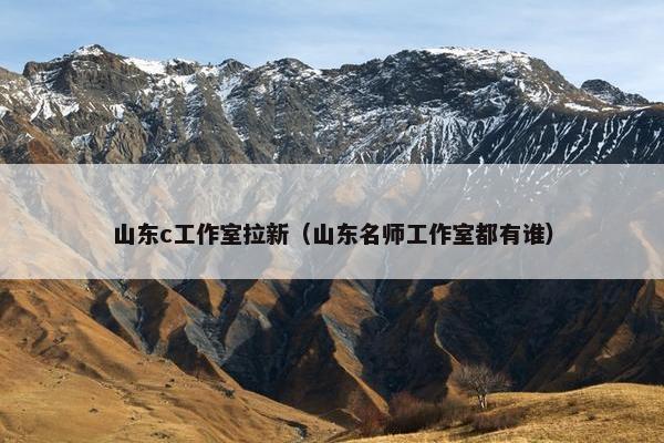 山东c工作室拉新（山东名师工作室都有谁）