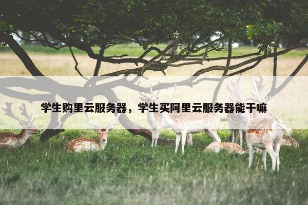 学生购里云服务器，学生买阿里云服务器能干嘛