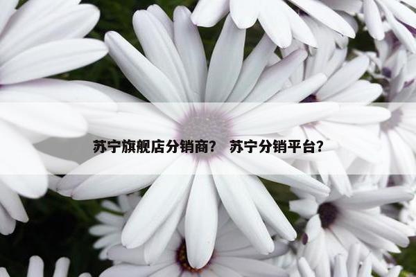 苏宁旗舰店分销商？ 苏宁分销平台？