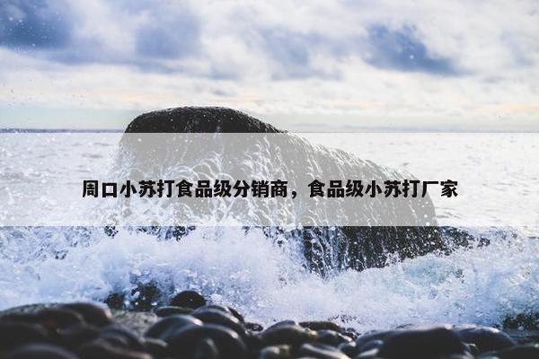 周口小苏打食品级分销商，食品级小苏打厂家