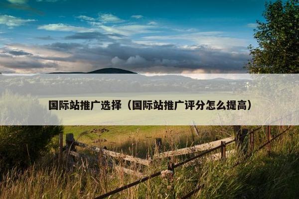国际站推广选择（国际站推广评分怎么提高）